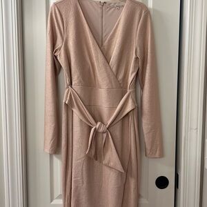 RACHEL Rachel Roy Blush Long Sleeve Dress